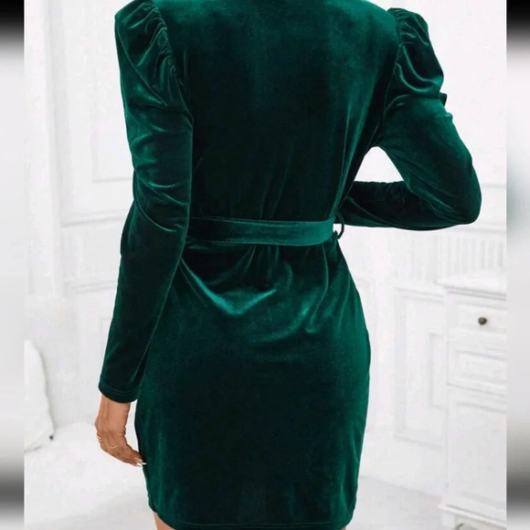 Neck Puff Sleeve Belted Velvet Dress - Picture 4 of 5